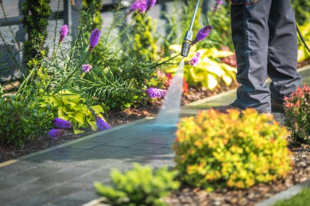 Best Pool Deck Cleaning  in Lancaster, SC